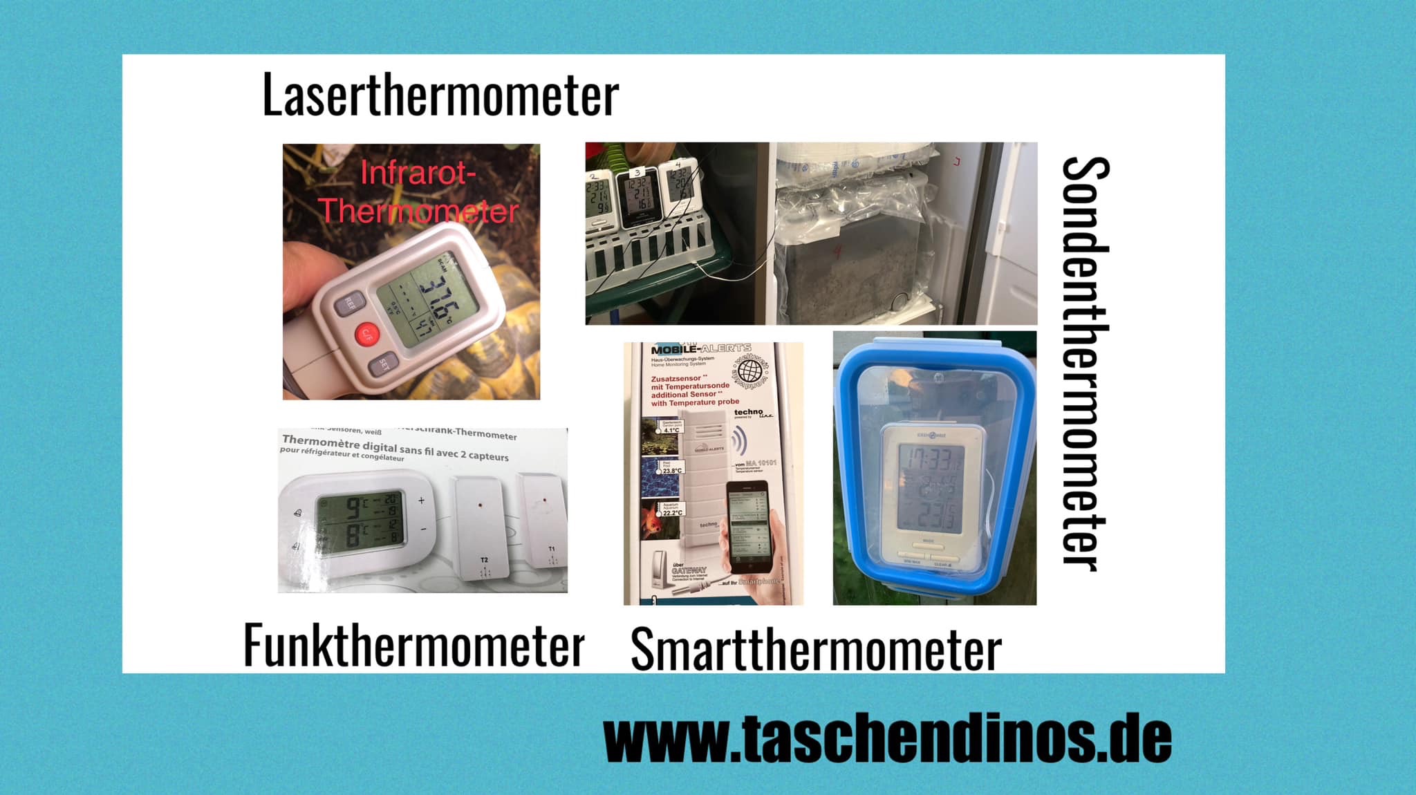 Thermometers for Tortoise Keeping