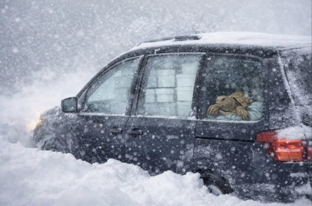 Stromausfall im Winter