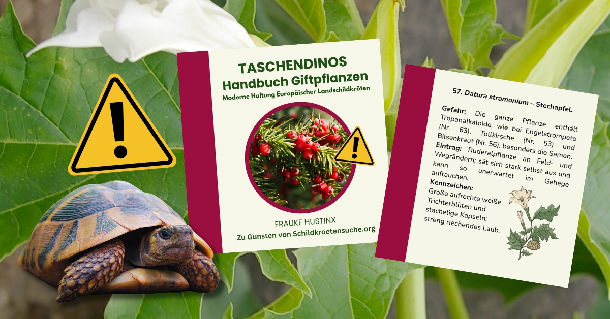 Taschendinos Handbuch Giftpflanzen