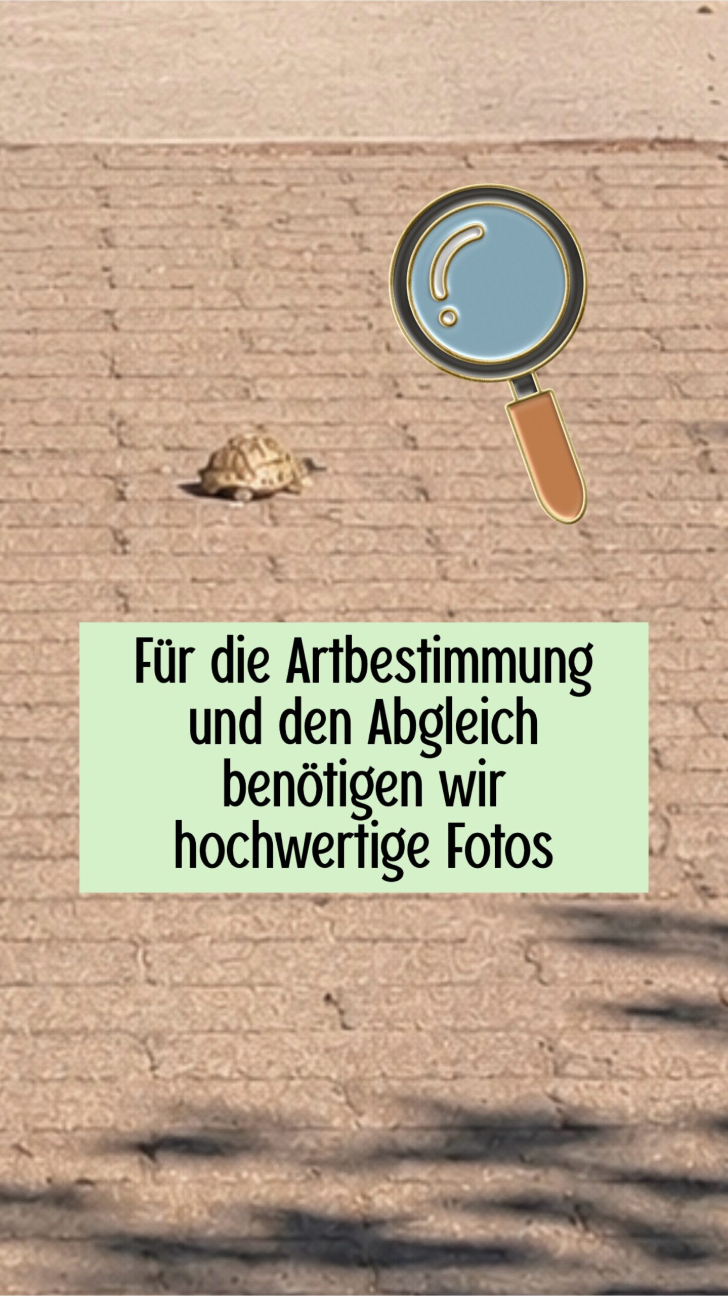 Foto-Leitfaden