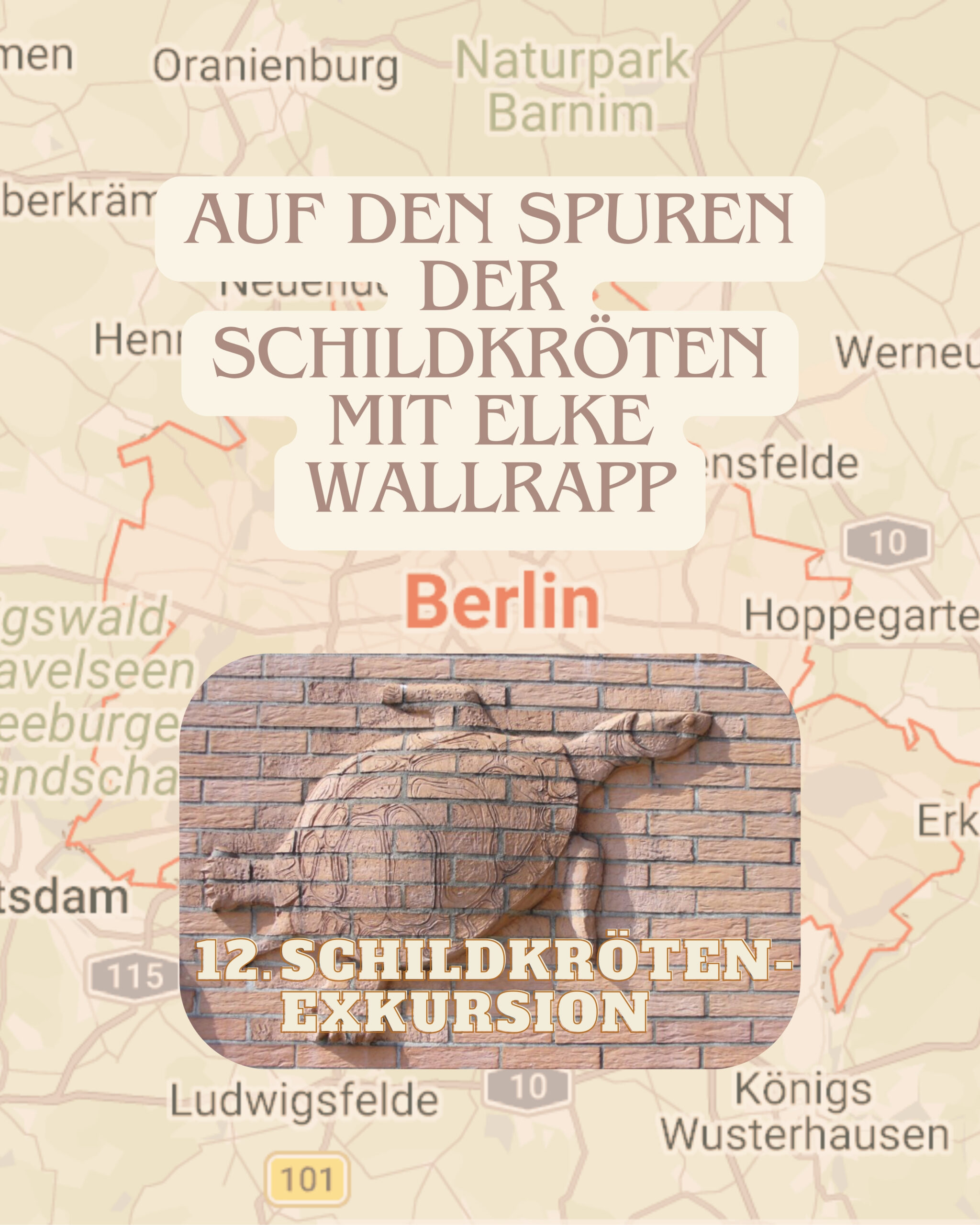 Kulturelle Schildkröten-Exkursion 12