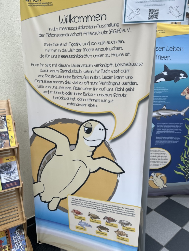 Warum Schildkröten bedroht sind und wie sie geschützt werden