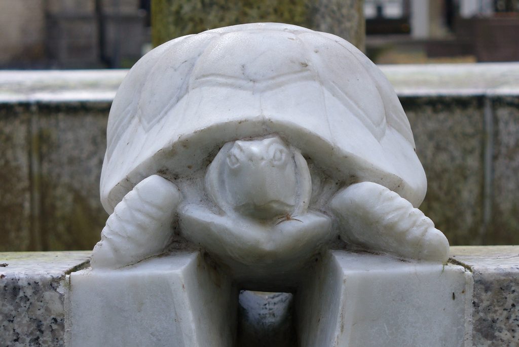 Frontalansicht des neu gestalteten Kopfes der Marmorschildkröte am Kölner Tierbrunnen.