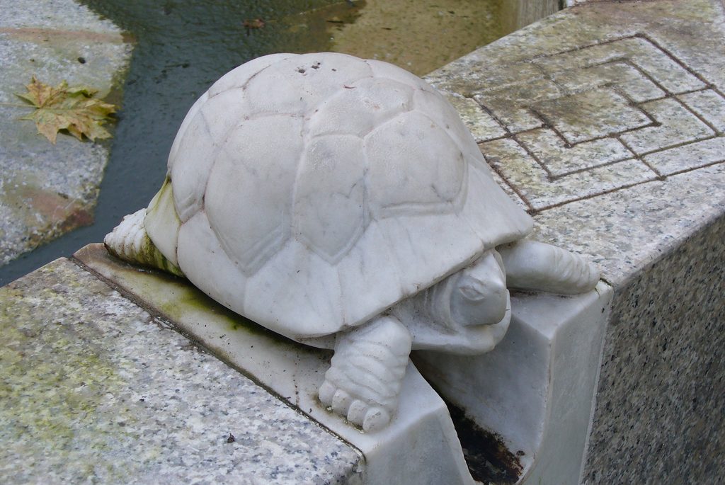 Seitliche Ansicht der Marmorschildkröte am Tierbrunnen in Köln mit Blick auf Panzer, Kopf und Vorderbeine.