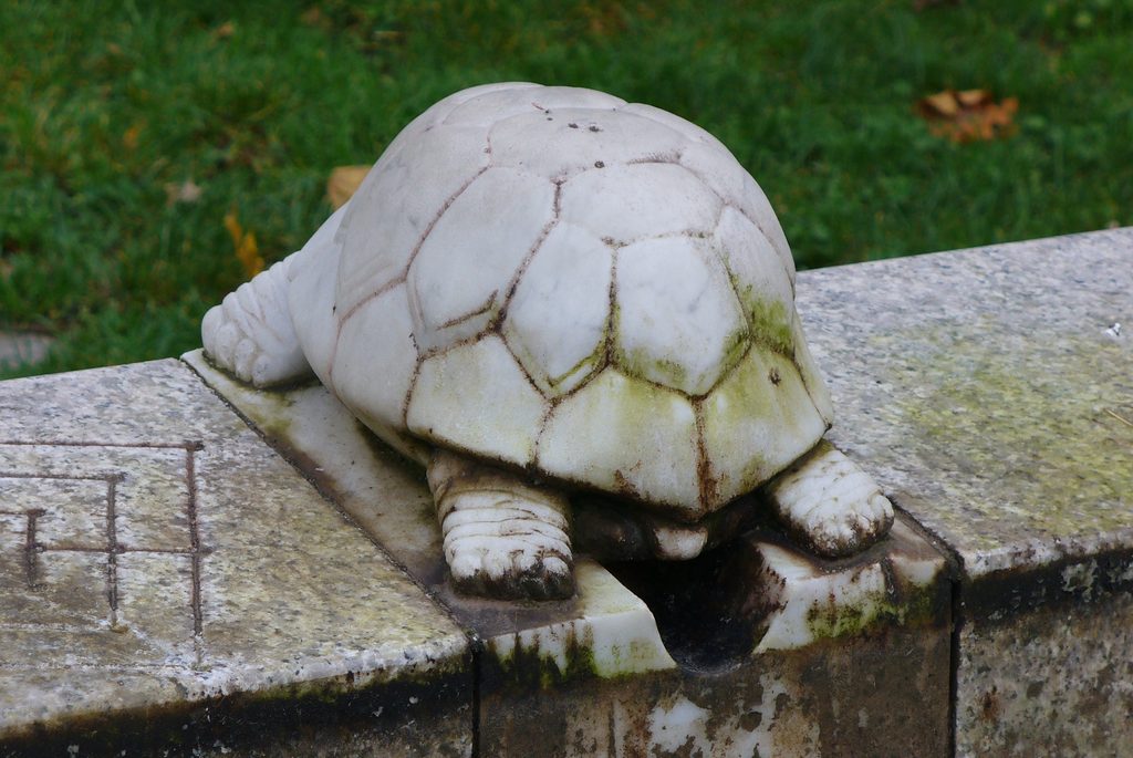 Rückansicht der Marmorschildkröte am Tierbrunnen in Köln mit deutlich ausgearbeiteten Panzerschilden.