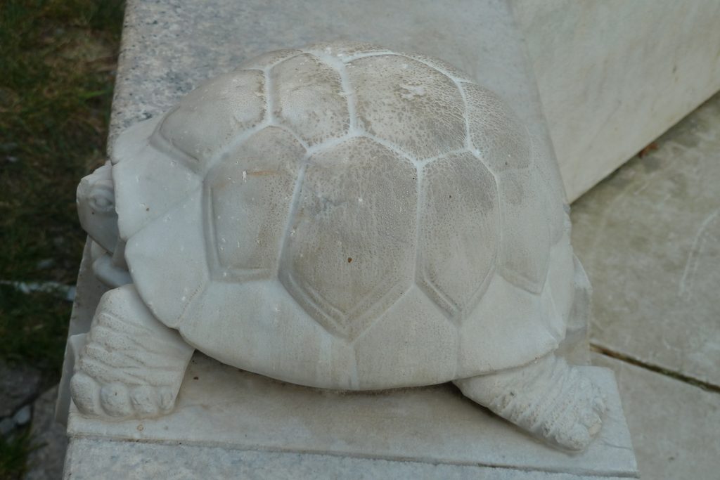 Nahaufnahme der hellen Marmorschildkröte des Tierbrunnens an Groß St. Martin in Köln.