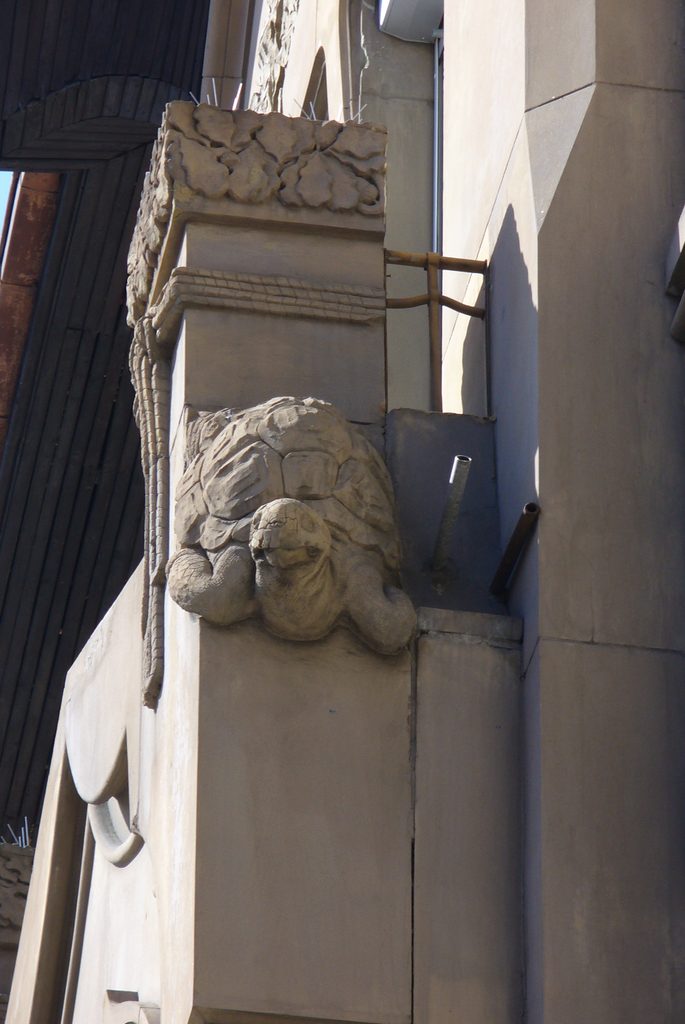 Frontal von unten fotografierte steinerne Schildkröte an einer Jugendstilfassade.