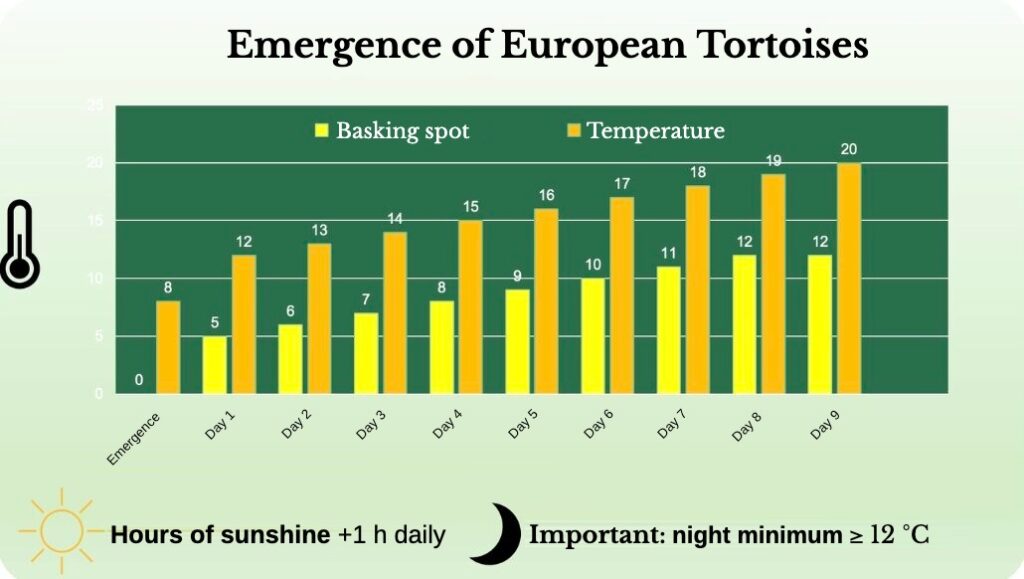 Schedule for the emergence of European tortoises from brumation over 9 days.