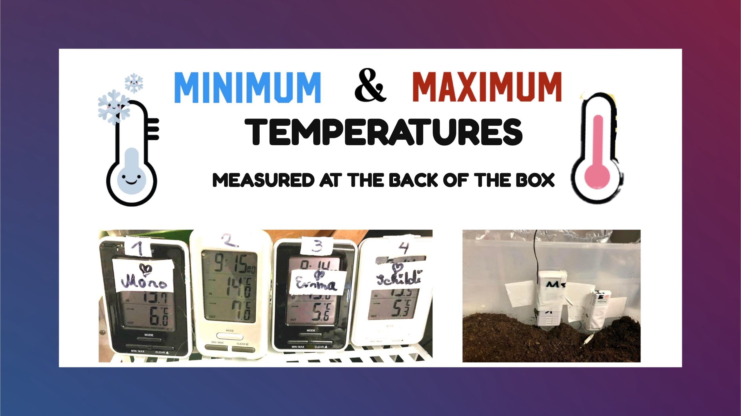 Graphic: minimum and maximum temperatures measured at the back of the box