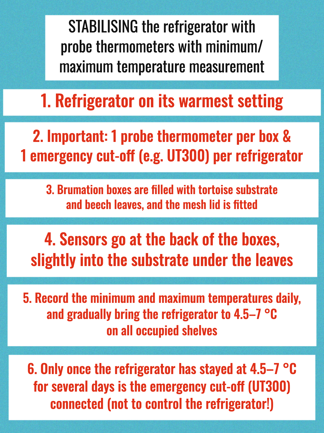 Infographic: six steps for stabilising the brumation refrigerator with probe thermometers